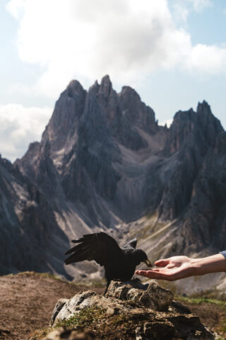 dolomites 25 bpm 21